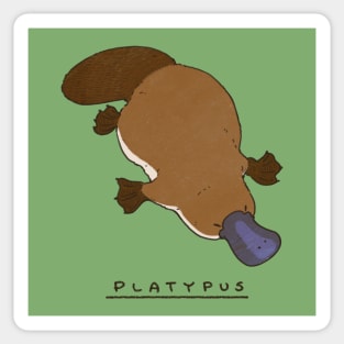 Adorable Platypus Swimming Down Sticker